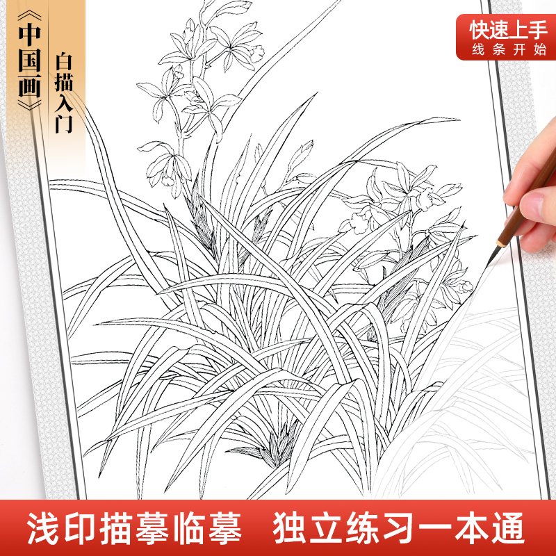 中国画白描画本入门线稿描摹本漫画人物简笔画动漫临摹画册美术手绘涂色素描本工笔画底稿画稿速写练习画画 - 图2