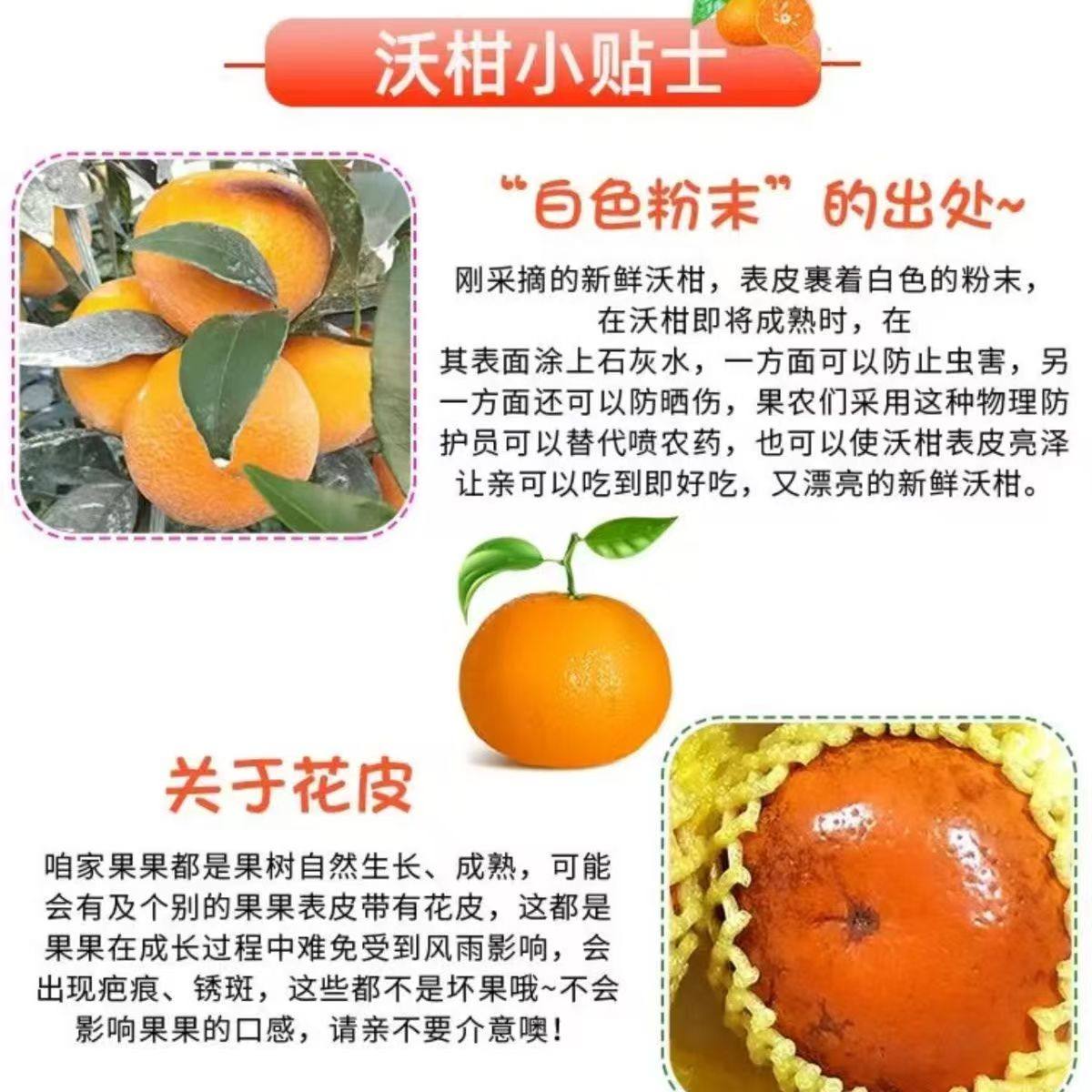 正宗广西武鸣沃柑薄皮柑橘子9斤新鲜桔子水果橘子当季皇帝蜜柑