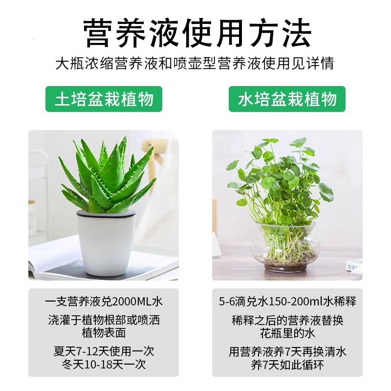 植物营养液通用型盆栽发财树富贵竹绿萝水培花卉绿植养花肥料土壤 - 图0