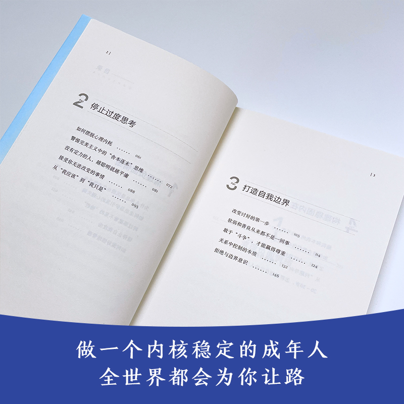 做一个内核稳定的成年人风墟著每个厉害的人都有个笃定的核内核稳了人生就顺了修炼稳定内核做个平静的狠人正版书籍-图1