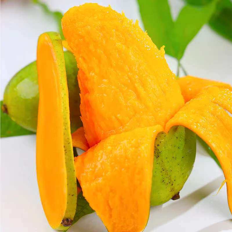 广西新鲜芒果当季水果整应季金煌芒果甜心芒香甜多汁青皮芒果