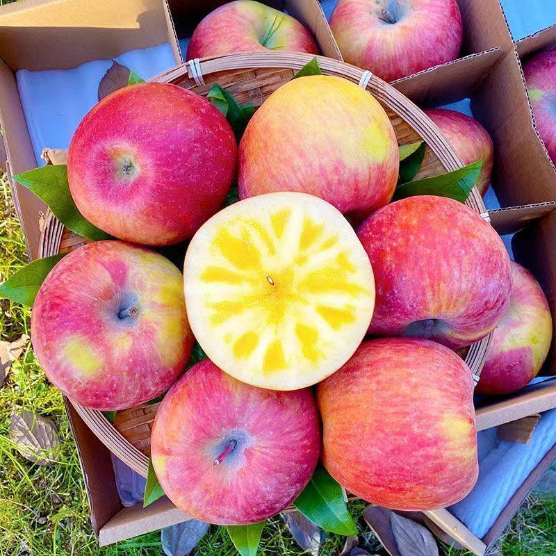 冰糖心新鲜水果苹果红富士现摘现发糖心丑苹果脆甜包邮生鲜大果,淘宝优惠券,粉丝福利购,淘宝优惠卷