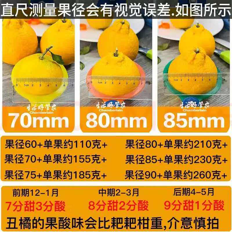 四川高山丑橘不知火橘新鲜水果当季现摘甜桔子耙耙柑桔橘子生鲜