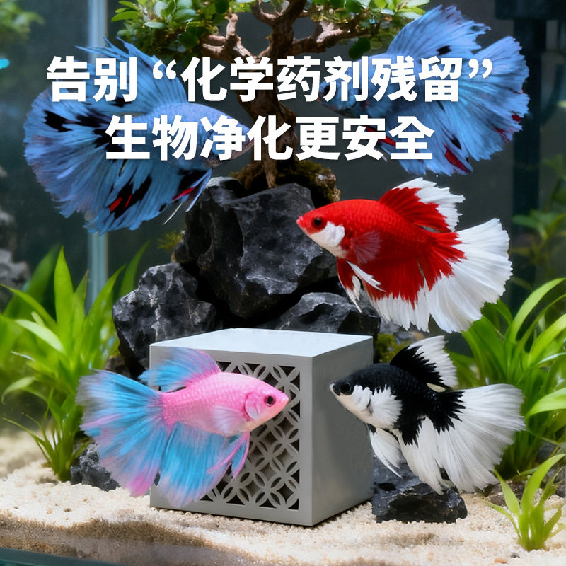 粹昊菌方鱼缸鱼池锦鲤硝化细菌水质净化稳定剂净水培养换水系统,淘宝优惠券,粉丝福利购,淘宝优惠卷