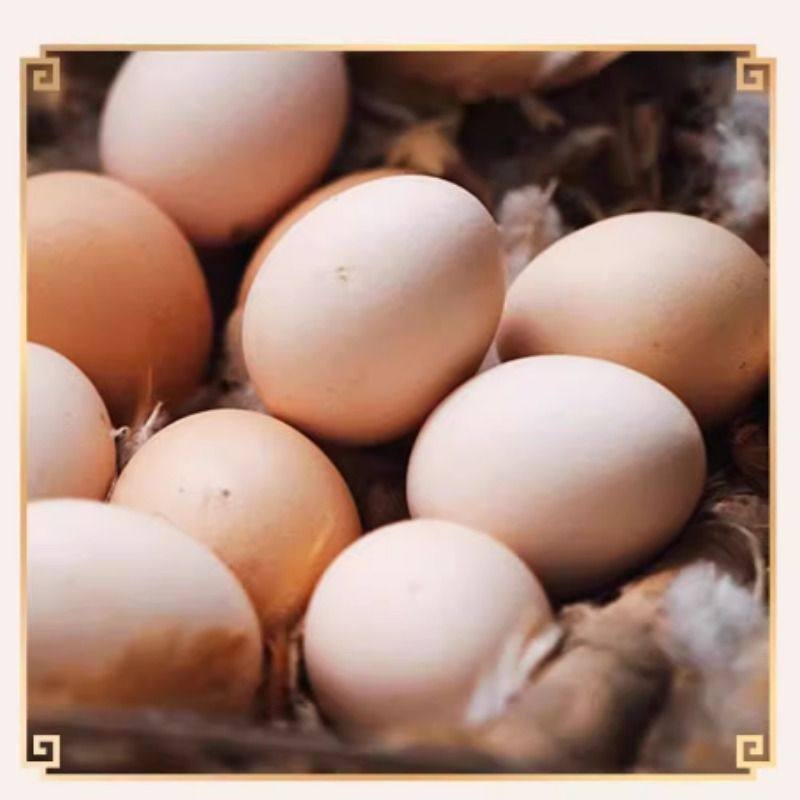 麻酱鸡蛋天津蓟县蓟州特产工艺天津正宗麻酱鸡蛋工艺零食开袋即食,淘宝优惠券,粉丝福利购,淘宝优惠卷