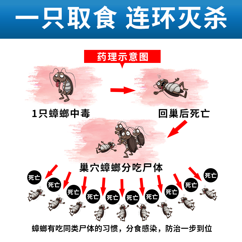 蟑螂药家用一窝端室内厨房无蟑神器全灭除蟑螂大杀虫饵剂餐厅虫卵 - 图0