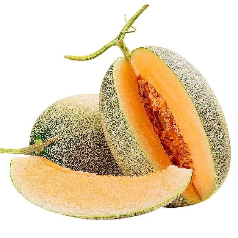 正宗哈密瓜9斤当季新鲜水果甜一整箱包邮现摘网纹瓜老汉瓜西州蜜,淘宝优惠券,粉丝福利购,淘宝优惠卷