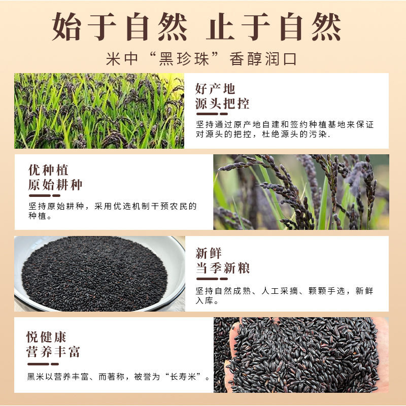 Northeast black rice farm new rice, whole grains, authentic fragrant rice, coarse grains, brown rice porridge, 5 pounds of non-purple rice glutinous rice
