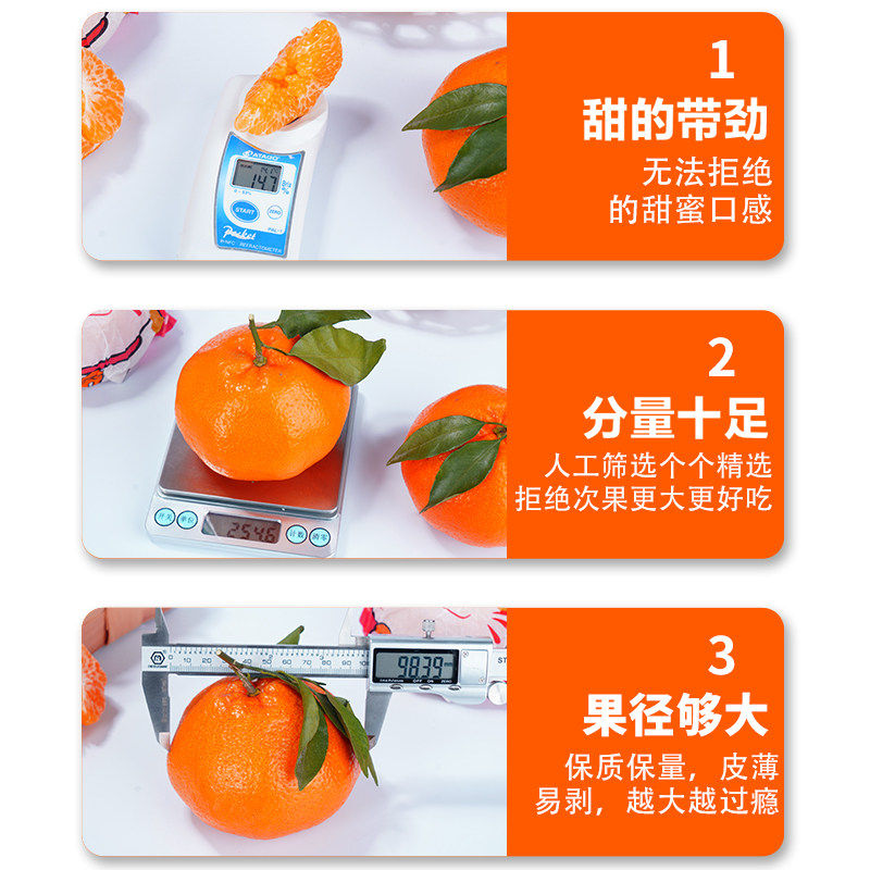 正宗四川春见耙耙柑粑粑柑橘子现摘发货水果应当季新鲜整箱丑桔10,淘宝优惠券,粉丝福利购,淘宝优惠卷