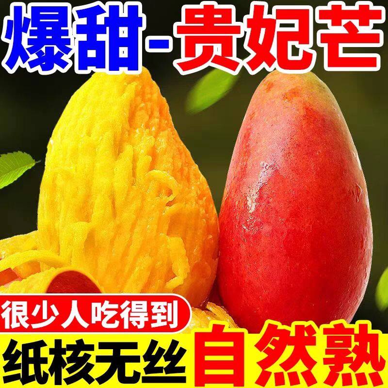 海南贵妃芒5斤树上熟芒果三亚特产当季新鲜水果自然熟特大果现摘