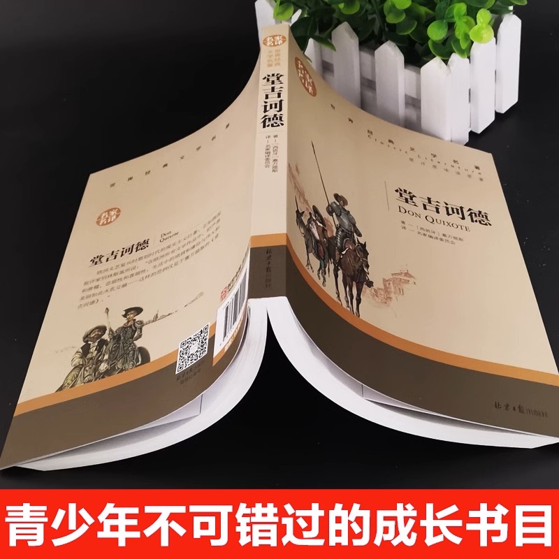 堂吉诃德名家名译正版原汁原味读原著世界经典文学名著中小学生阅读指导书目阅读青少年课外阅读书籍读畅销世界名著 - 图0