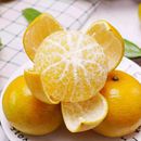 下拉金币13.99！广西现摘现发正宗皇帝柑5斤