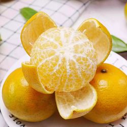 下拉金币13.99！广西现摘现发正宗皇帝柑5斤