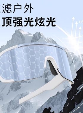 登山骑行雪地专用滑雪护目镜防风防紫外线冬季墨镜滑雪镜防雪圆脸
