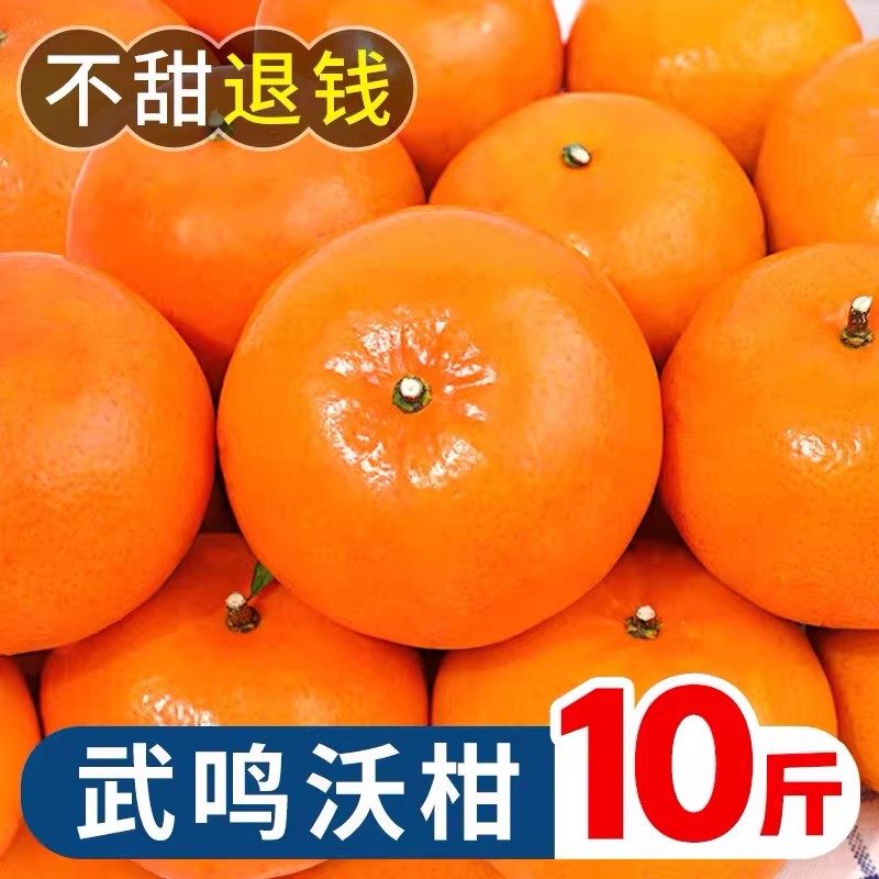 彩箱装广西武鸣沃柑10斤新鲜橘子水果当季沙糖蜜橘砂糖柑橘大精品,淘宝优惠券,粉丝福利购,淘宝优惠卷