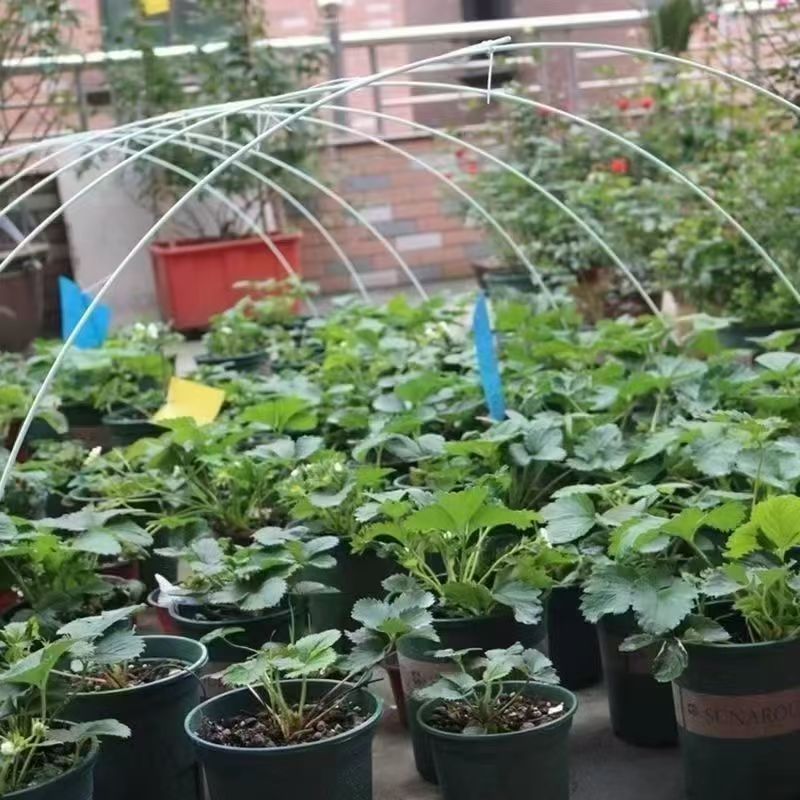 大棚支架拱杆拱棚支架棚架花架秧苗玻璃钢菜地玻璃纤维杆拱形暖棚 - 图2