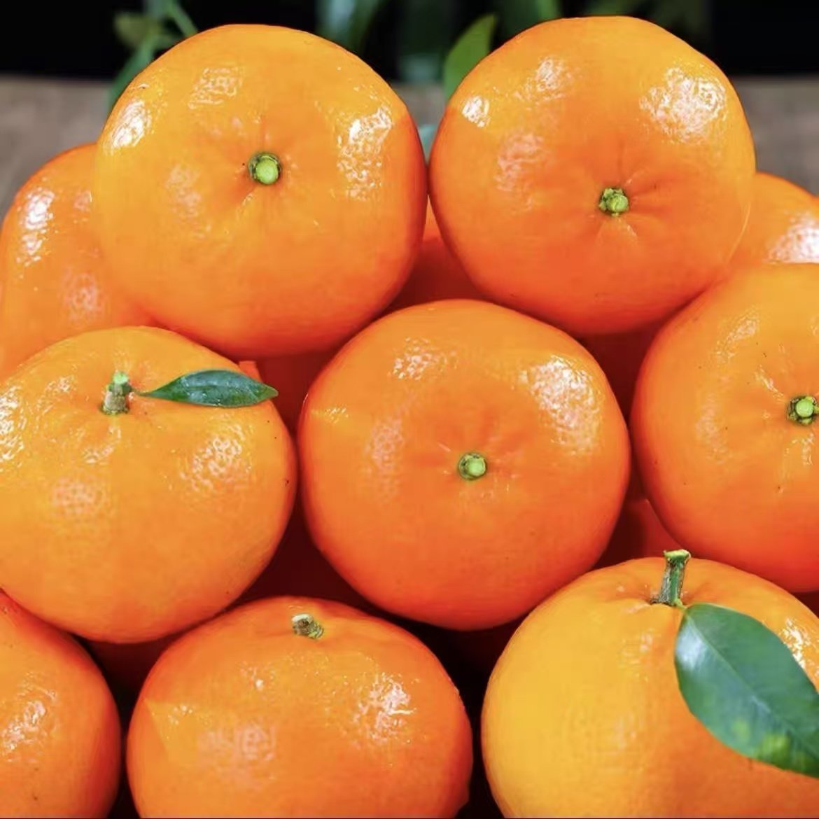 广西武鸣沃柑树上新鲜采摘甜橙子孕妇水果健康零食过年年货水果,淘宝优惠券,粉丝福利购,淘宝优惠卷