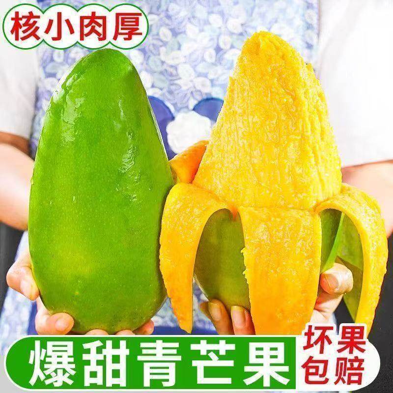正宗云南现摘现发大青芒新鲜应季水果青皮金煌芒整箱批发超大芒果 正宗云南现摘现发大青芒新鲜应季水果青皮金煌芒整箱批发超大芒果