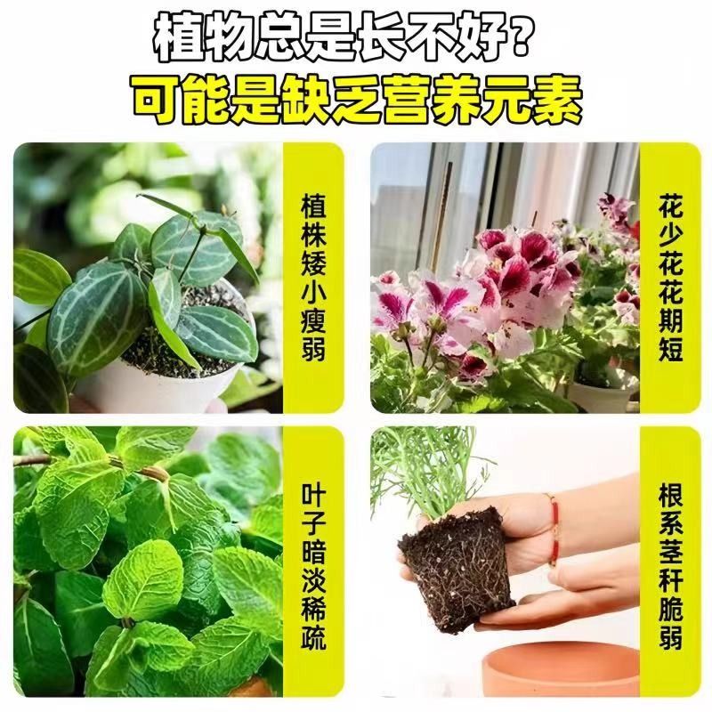 植物营养棒绿植盆栽家用种花养花通用型植物花卉多肉长效缓释肥料 - 图1