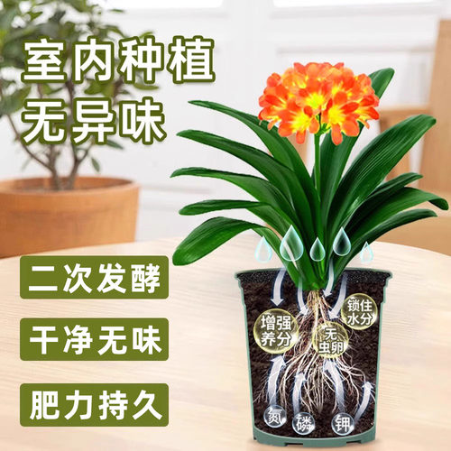 羊粪发酵有机肥纯羊粪100斤种植果树鸡粪盆栽养花鸡羊混合农家肥 - 图0
