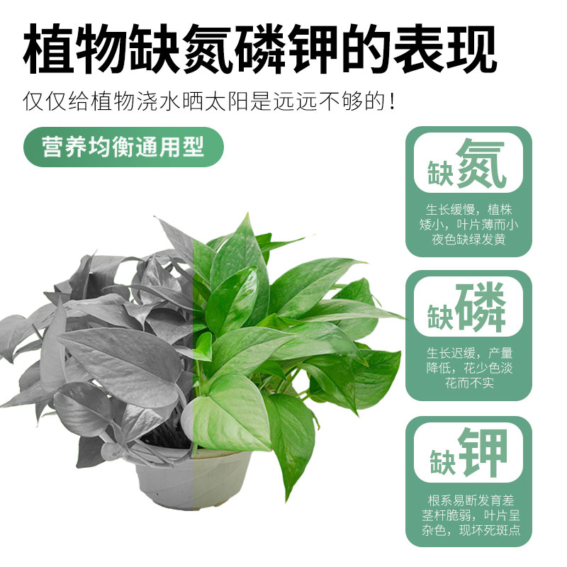 复合肥蔬菜农用种菜水溶肥盆栽花卉植物叶面氮磷钾化肥家用花肥料 - 图0