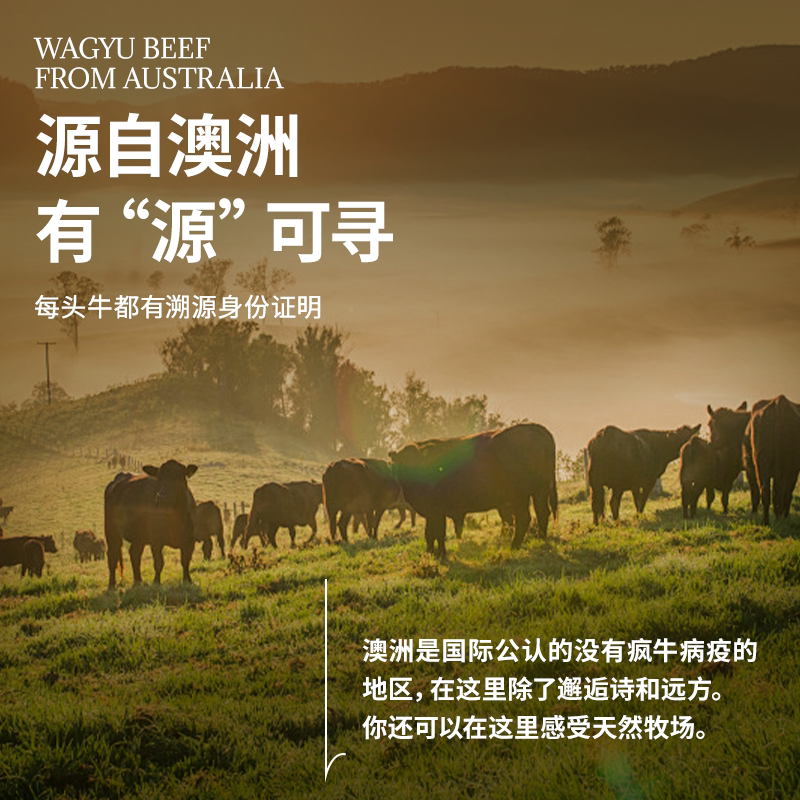 澳贝美原切肥牛卷雪花牛肉片新鲜火锅食材烤肉