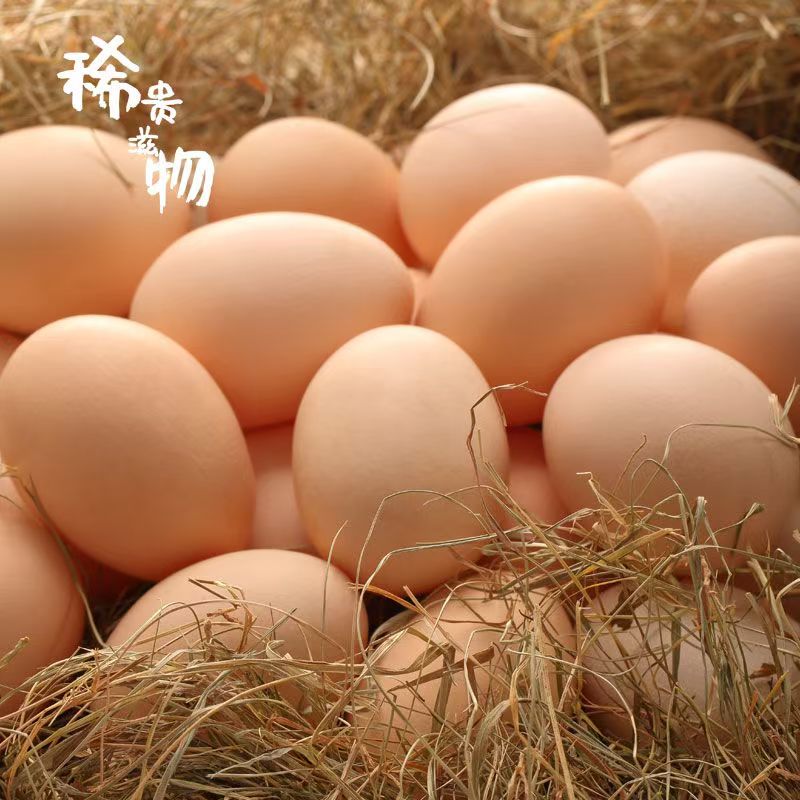 下拉+礼金13！新鲜农家土鸡蛋30枚