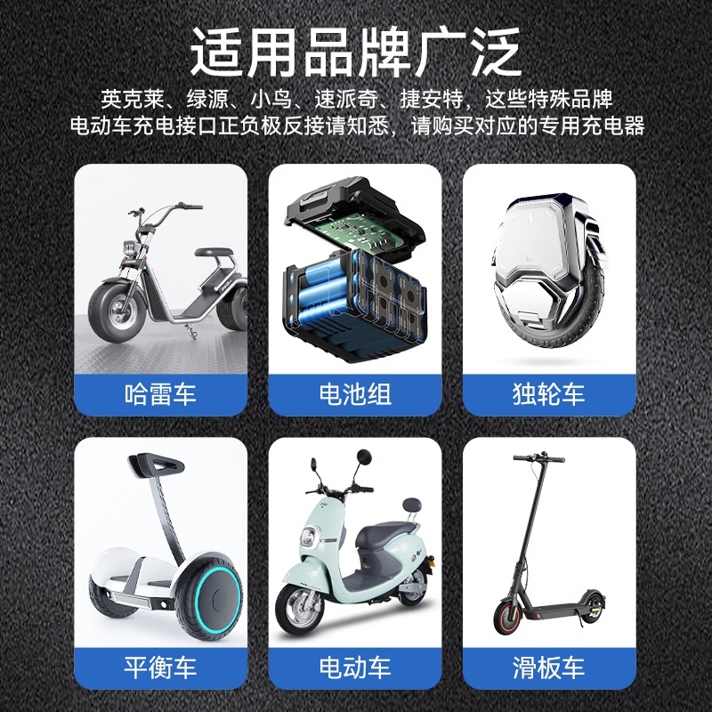 电动车电瓶充电器48v12ah20ah60v72伏爱玛雅迪锂电通用保护智能 - 图2