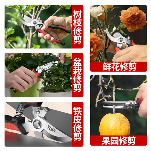 修剪树枝专用剪刀修枝剪刀SK5钢园林园艺果树剪剪子剪枝工具剪刀 - 图2