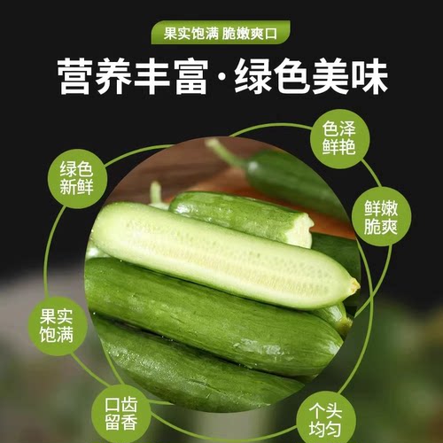 芭芭农场兑换水果黄瓜2斤装新鲜自提现摘凉拌 - 图1
