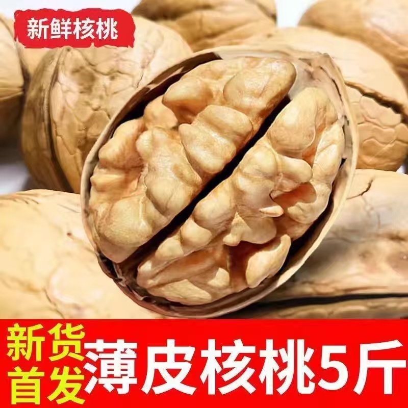 2023年特价新疆薄皮核桃批发坚果薄皮大核桃原味185纸皮核桃生 - 图0