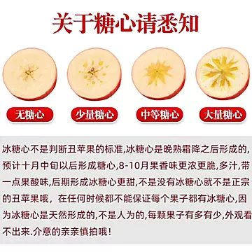 【超低价】现摘山西红富士苹果5斤[1元优惠券]-寻折猪