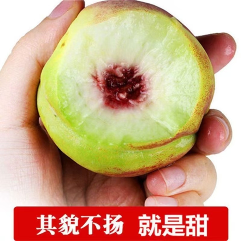 正宗山东青州蜜青皮蜜桃冬桃当季应季水果小冬桃甜桃5斤包邮 - 图1