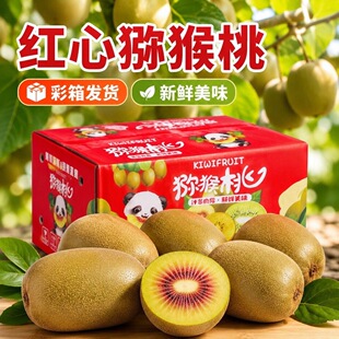 叠金币拍【现摘现发】四川红心猕猴桃15枚