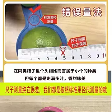 下拉金币13.99！广西现摘现发正宗皇帝柑5斤[1元优惠券]-寻折猪