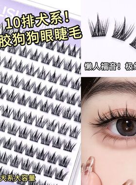 荔树犬系大容量无辜狗狗懒人三部曲漫画眼睫毛免胶浓密自然自粘