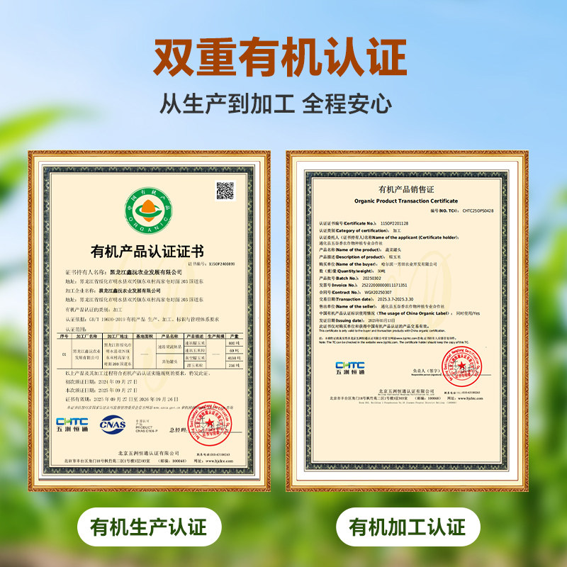 东北有机黄糯玉米新货真空黏玉米棒现摘黄糯苞米非即食早餐代餐