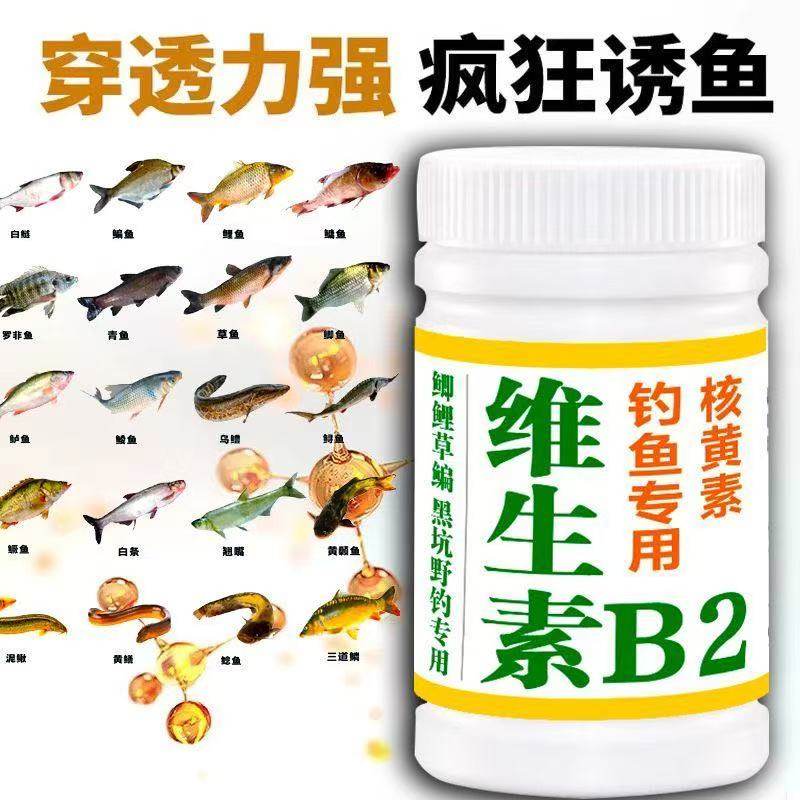 维生素b2钓鱼专用钓鱼小药氨基酸核黄素维生素B2泡酒米底窝料诱鱼,淘宝优惠券,粉丝福利购,淘宝优惠卷