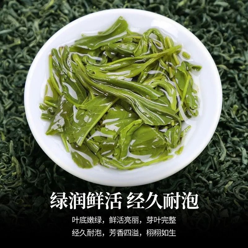 2024新茶叶明前一级绿茶高山云雾春茶浓香日照充足毛尖茶散装500g - 图2