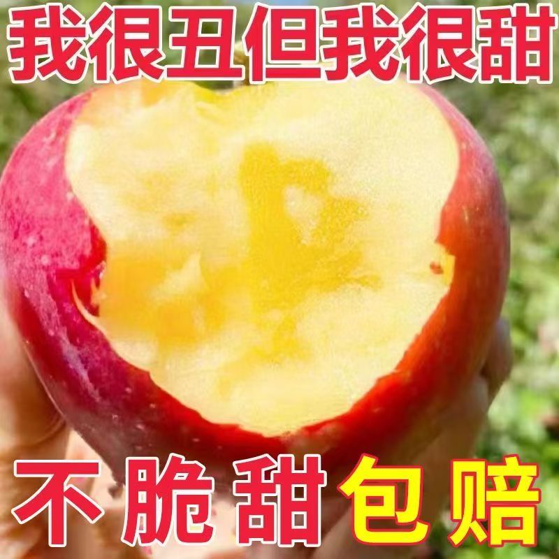 【冰糖心】正宗红富士苹果新鲜时令孕妇水果现摘现发苹果脆甜爆汁
