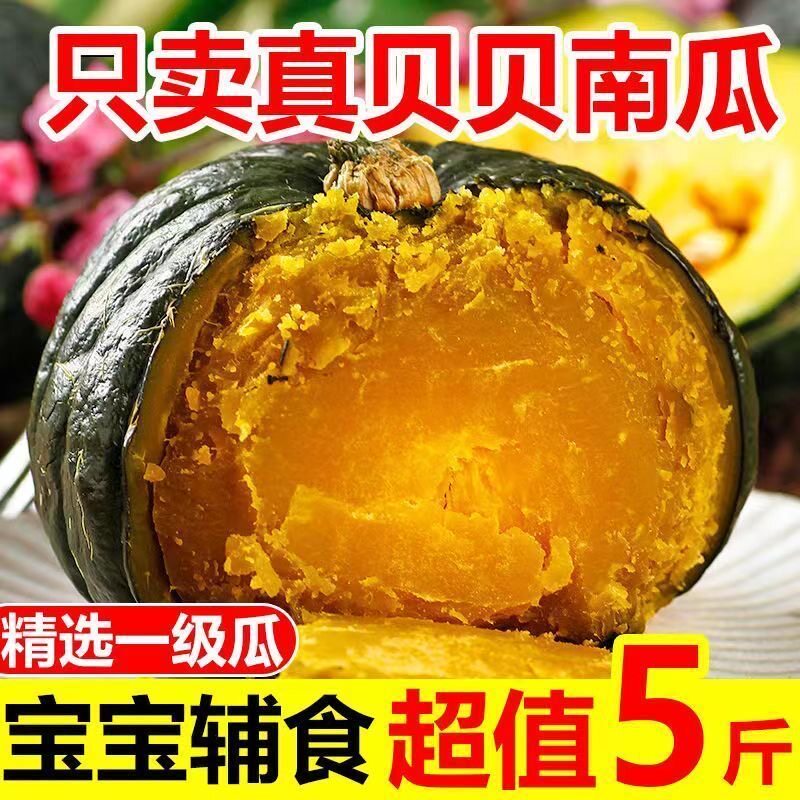 正宗真贝贝南瓜板栗味小南瓜粉糯婴儿辅食批发新鲜3斤5斤香甜
