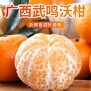 正宗广西武鸣沃柑4.5斤