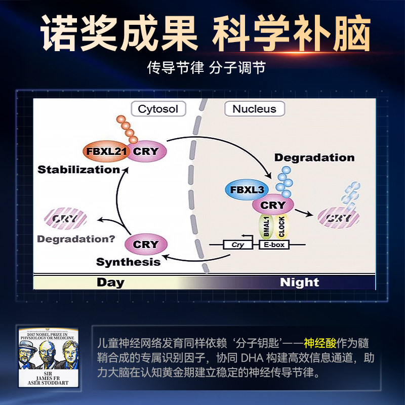 Wocysv学生DHA藻油神经酸脑力素青少年儿童脑补增强记忆力学习,淘宝优惠券,粉丝福利购,淘宝优惠卷