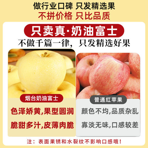 烟台苹果黄金奶油富士新鲜水果脆甜多汁现货平果当季鲜果整箱包邮 - 图3
