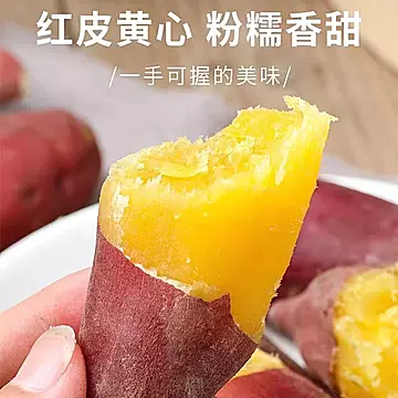 沙地龙九蜜薯黄心红薯9斤（净重8.5斤）[4元优惠券]-寻折猪