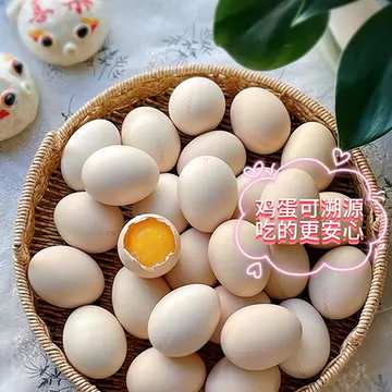 御家农庄无抗鲜鸡蛋60枚50g顺丰包邮[31元优惠券]-寻折猪