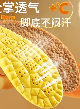 乳胶羊羔毛绒保暖冬季防寒鞋垫子