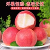 下拉13.88！现摘水蜜桃毛桃4.5斤