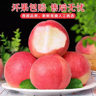 ����13.88����ժˮ����ë��4.5��