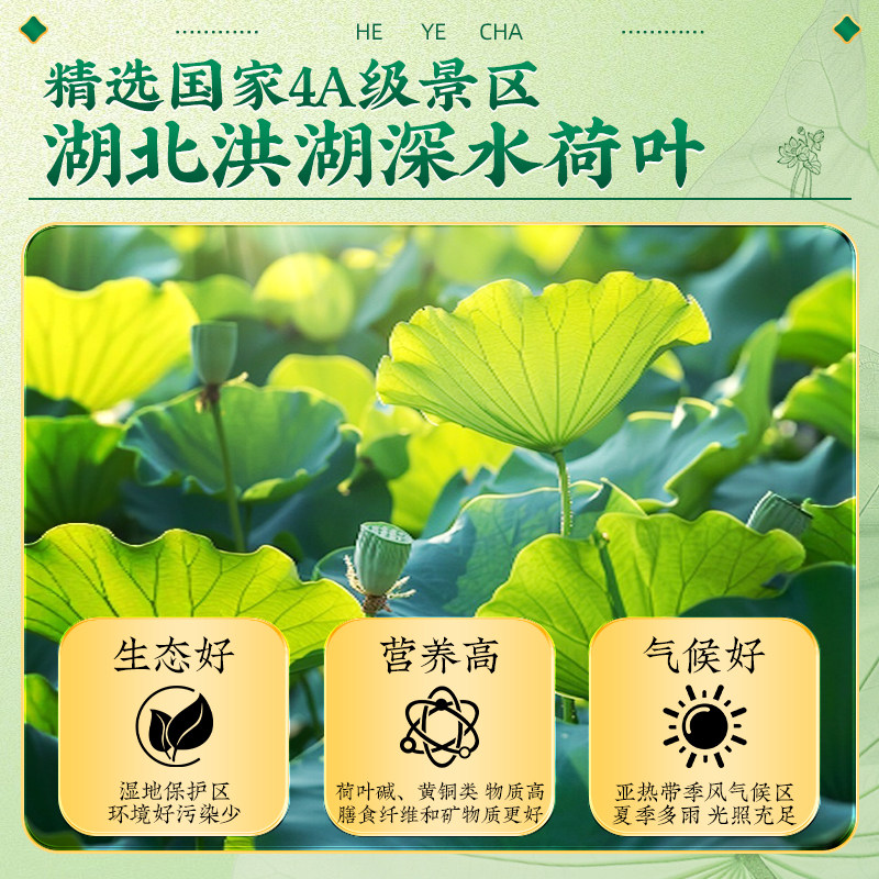 同仁堂荷叶茶中药材天然特级刮油去湿气排毒搭冬瓜山楂决明子泡水,淘宝优惠券,粉丝福利购,淘宝优惠卷